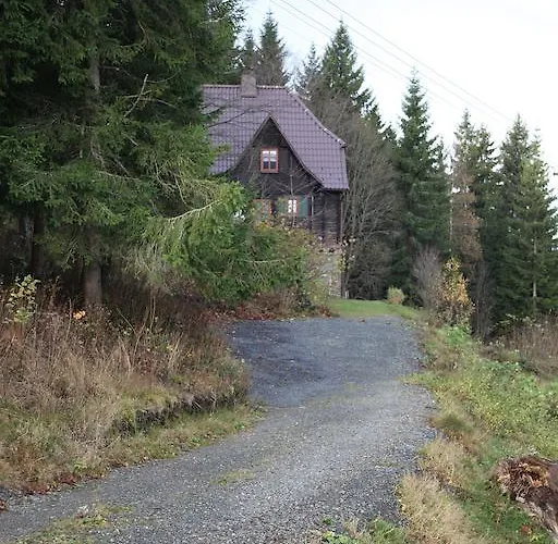 Koenig-in
